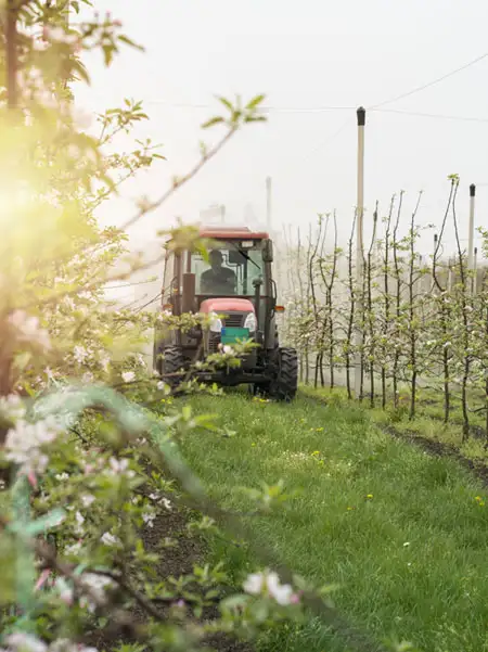 About 1 | SMR Agrotech Industries Ltd. SMR Agrotech