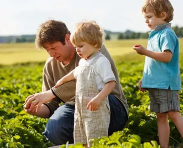 SMR Agrotech