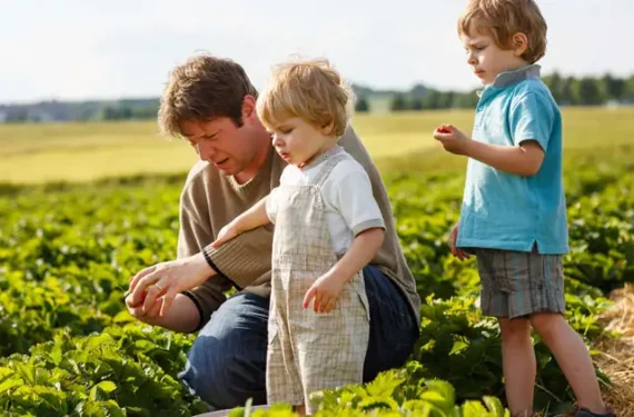 SMR Agrotech