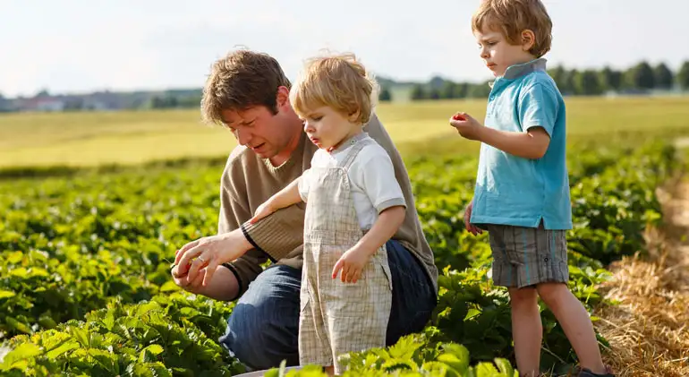 SMR Agrotech