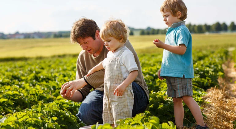 Organic Products 1 | SMR Agrotech Industries Ltd. SMR Agrotech