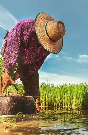 SMR Agrotech