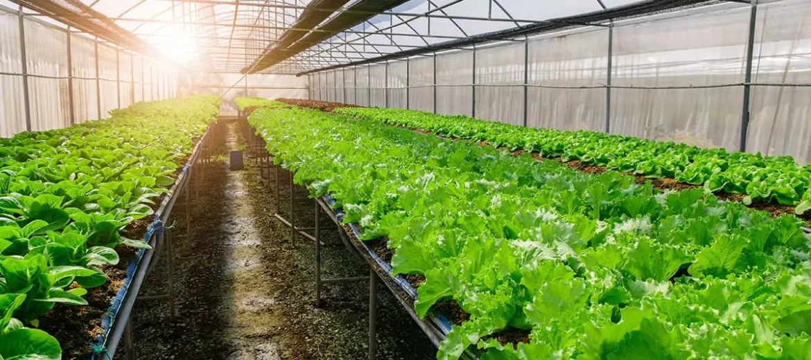SMR Agrotech