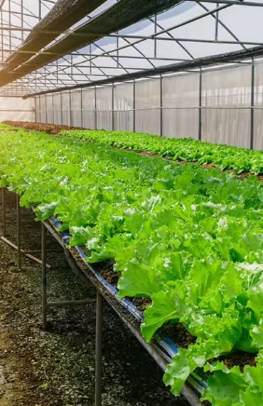 SMR Agrotech