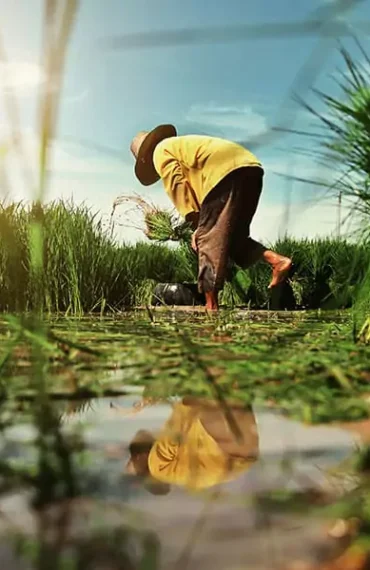 SMR Agrotech