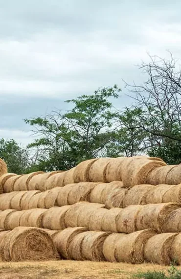 SMR Agrotech