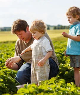 Home 11 | SMR Agrotech Industries Ltd. SMR Agrotech