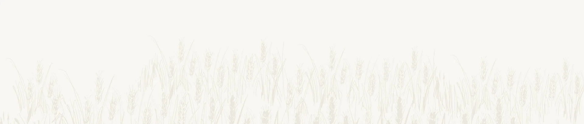 Home 15 | SMR Agrotech Industries Ltd. SMR Agrotech