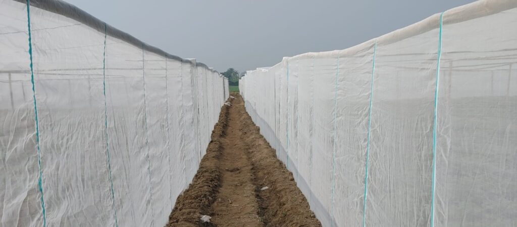 SMR Agrotech